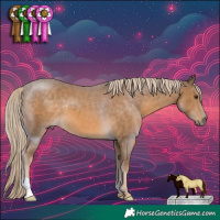Horse Color:Chocolate Palomino 