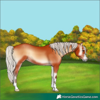 Horse Color:Silver Bay Onyx 