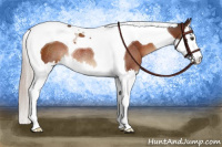 Horse Color:Silver Brown Splash Tobiano Rabicano