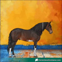 Horse Color:Brown Tobiano