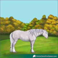 Horse Color:Watercolor Silver Classic Champagne Ice Dun Splash 
