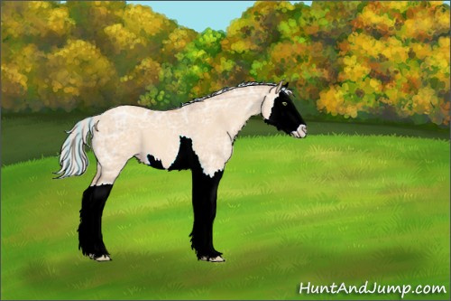 Horse Color:Painted Silver Amber Champagne Ice Dun Splash 