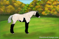 Horse Color:Painted Silver Amber Champagne Ice Dun Splash