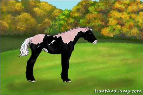 Horse Color:Watercolor Silver Classic Champagne Dun Splash 