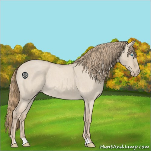 Horse Color:Smoky Creme Roan Dun 