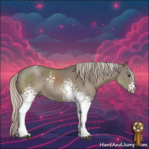 Horse Color:White Spotted Silver Grullo 