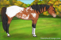 Horse Color:Bay Tobiano Snowcap 
