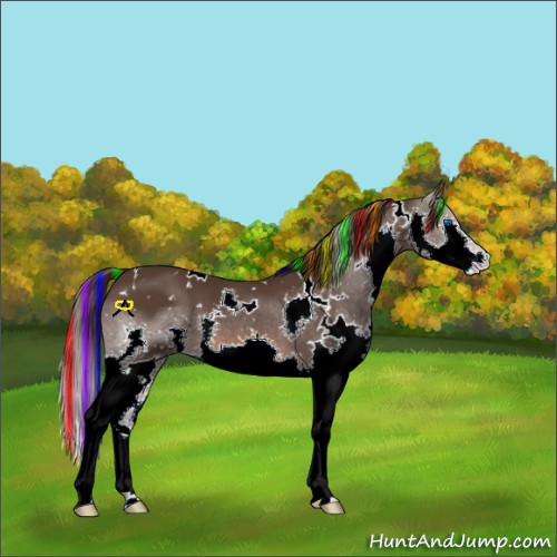 Horse Color:Painted White Spotted Liver Chestnut Splash 