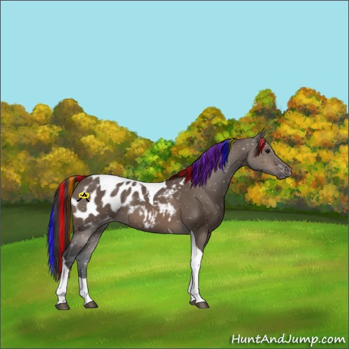 Horse Color:Painted Brown Dun Tobiano Blanket 