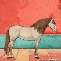 Horse Color:Red Dun Sabino Splash Appaloosa 