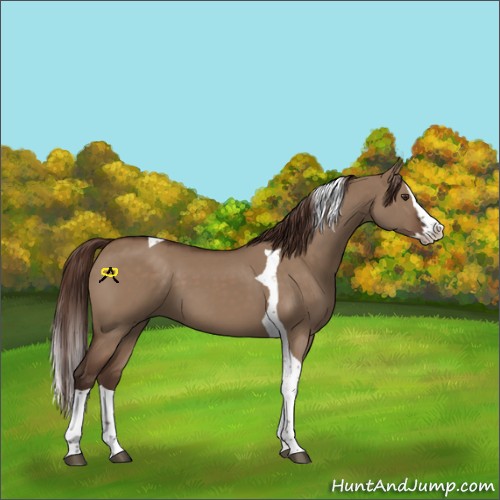 Horse Color:Liver Red Dun Splash Tobiano 