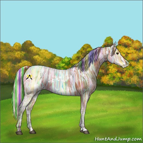 Horse Color:Painted White Spotted Silver Bay Ice