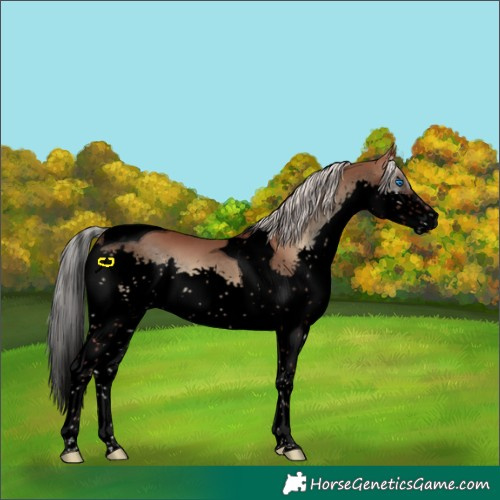 Horse Color:Void Silver Blue Onyx Splash Tobiano 