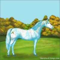 Horse Color:Thunderstruck Palomino Dun Sabino Splash Blanket 