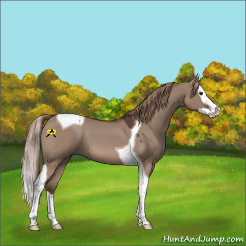 Horse Color:Liver Red Dun Splash Tobiano 
