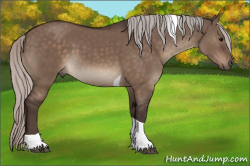 Horse Color:Silver Brown Dun Tobiano 
