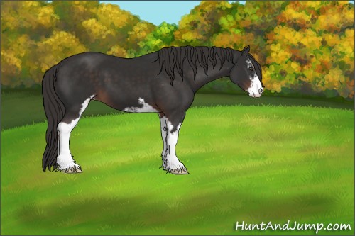 Horse Color:Liver Chestnut Sabino Varnish 
