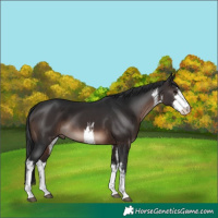 Horse Color:White Spotted Brown Mushroom 