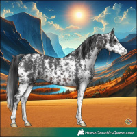 Horse Color:Brown Sabino 
