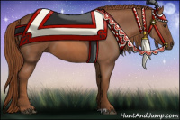 Horse Color:Red Roan 