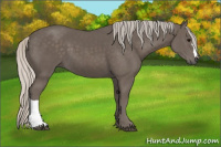 Horse Color:Silver Black