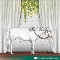 Horse Color:Silver Bay Sabino 