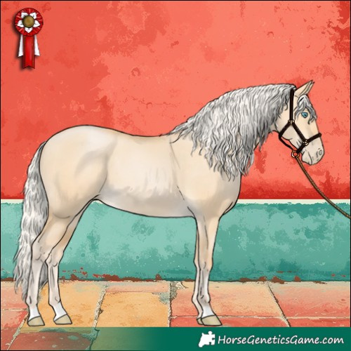 Horse Color:Silver Buckskin Pearl Dun 
