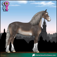 Horse Color:Silver Black 