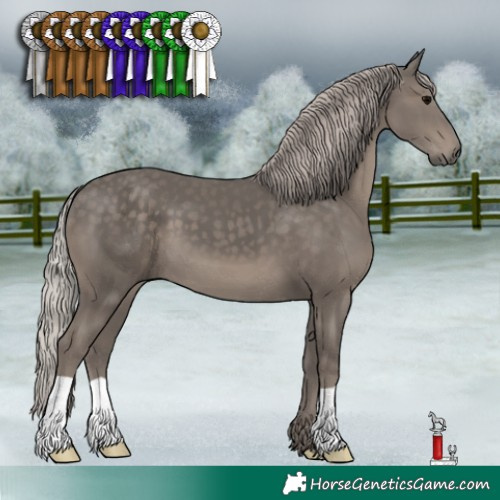 Horse Color:Silver Black 