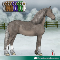 Horse Color:Silver Black 