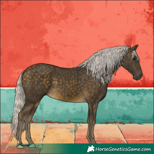 Horse Color:Silver Buckskin