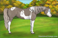 Horse Color:Silver Grullo Splash Tobiano 