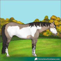 Horse Color:Brown Dun Frame