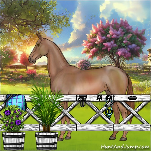 Horse Color:Chestnut Sabino 