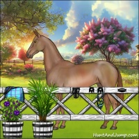 Horse Color:Chestnut Sabino 