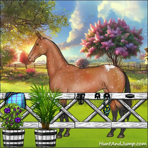 Horse Color:Bay Sabino Appaloosa
