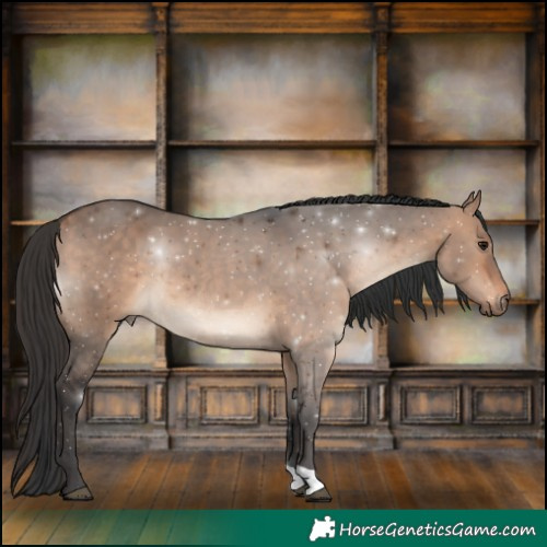 Horse Color:Brown Dun 
