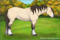 Horse Color:Buckskin Roan Dun Splash