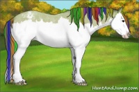 Horse Color:Painted Buckskin Roan Sabino Splash Varnish