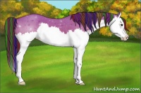 Horse Color:Painted Buckskin Roan Dun Sabino Splash Varnish 