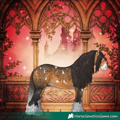 Horse Color:White Spotted Buckskin Splash 