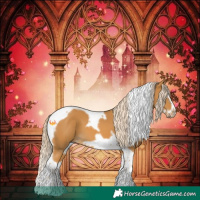 Horse Color:Palomino Splash Tobiano Frame 