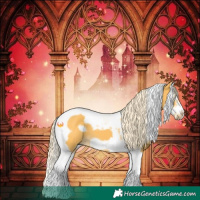 Horse Color:Palomino Splash Tobiano Frame 