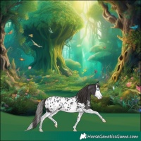 Horse Color:Smoky Black Sabino Splash Appaloosa Rabicano 