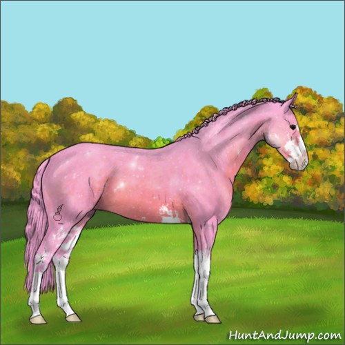 Horse Color:Watercolor Brown Sabino 