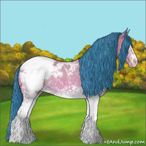 Horse Color:Watercolor White Spotted Bay Appaloosa 
