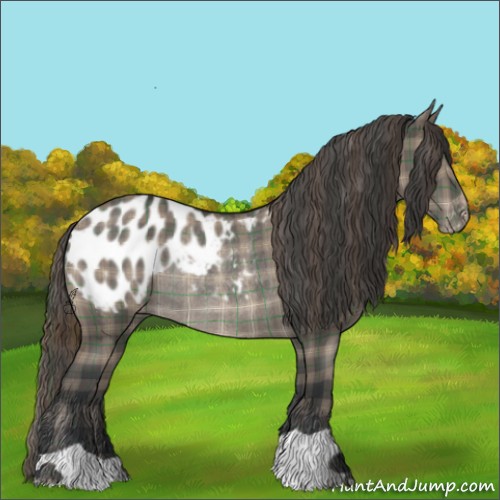 Horse Color:Plaid Grullo Blanket Rabicano