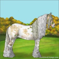 Horse Color:Plaid  White Spotted Silver Bay Roan Onyx 