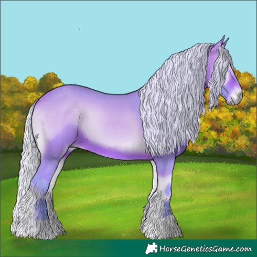 Horse Color:Watercolor Silver Bay Onyx 