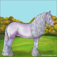 Horse Color:Watercolor Silver Bay Onyx 